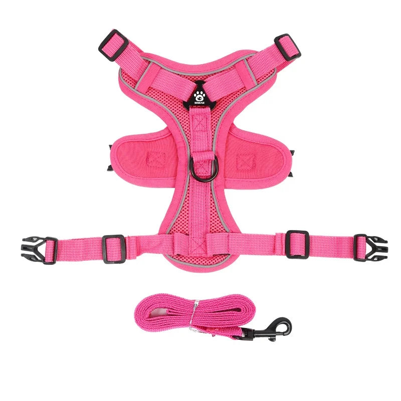 No-Pull Dog Harness & Leash Set – Adjustable Reflective Pet Vest Harness for Small Dogs & Cats, Comfortable Walking Chest Strap Lead.