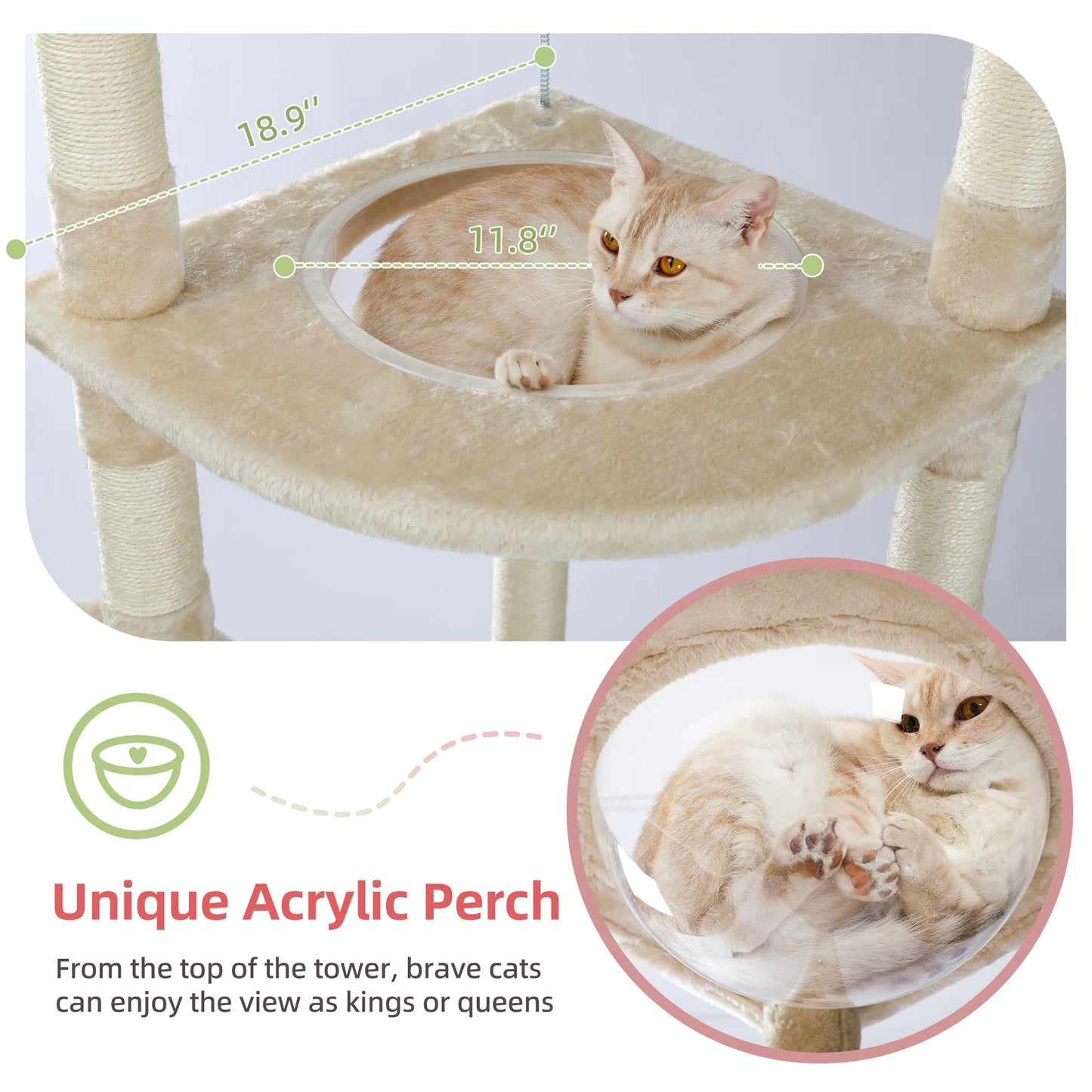Adjustable Floor-to-Ceiling Cat Tree Tower (236–258cm) – Indoor Cat Condo with Natural Scratching Posts, Acrylic Perch, Hammock Beds & Cozy Cave.