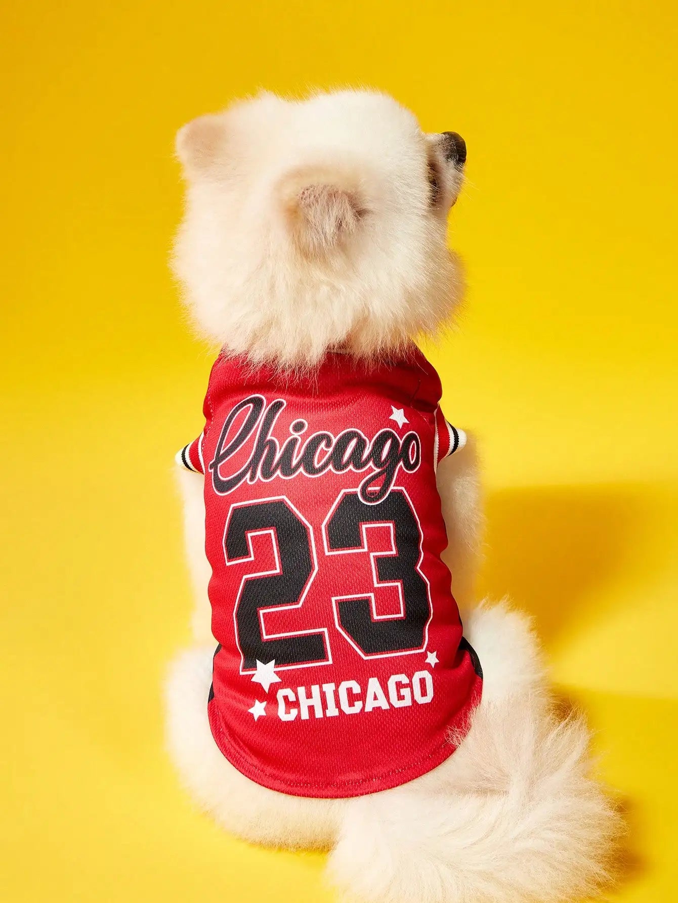 Pet Sports Jersey –  Athletic Outfit for Dogs & Cats, Lightweight Sportswear Clothing.