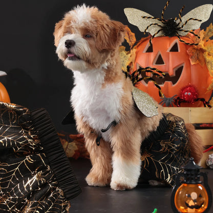 Halloween Spider Dog Costume – Funny Spider Wings Cosplay Outfit for Dogs & Puppies.