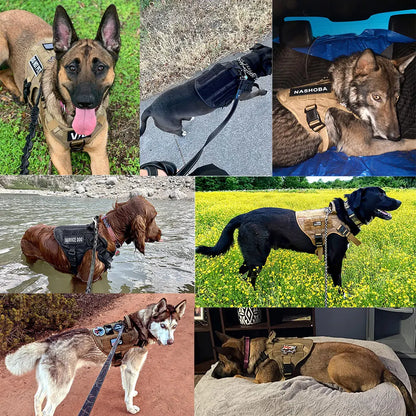 Large Dog Harness & Leash Set – Training Walking Vest with Collar for Medium & Large Dogs.