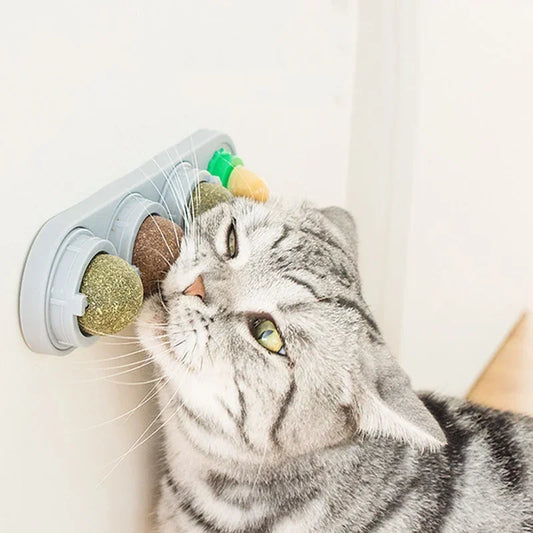 4-in-1 Rotating Catnip & Silver Vine Ball – Wall-Mounted Edible Cat Toy for Teeth Cleaning, Acne Prevention & Digestive Health.