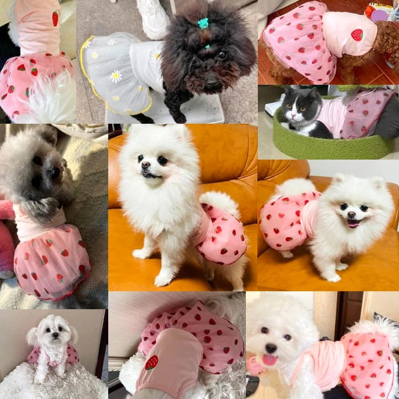 Summer Strawberry Pet Dress – Cute Mesh Suspender Skirt Outfit for Dogs & Puppies, Lightweight Breathable Pet Clothing.