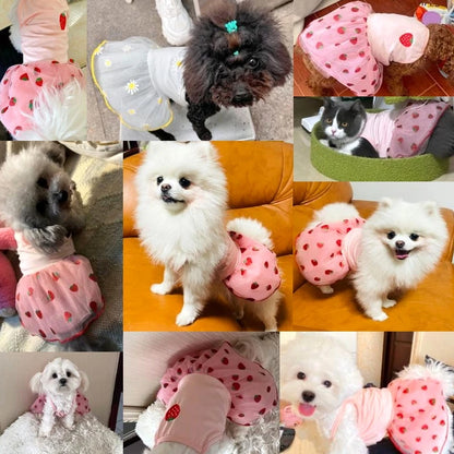 Summer Strawberry Pet Dress – Cute Mesh Suspender Skirt Outfit for Dogs & Puppies, Lightweight Breathable Pet Clothing.