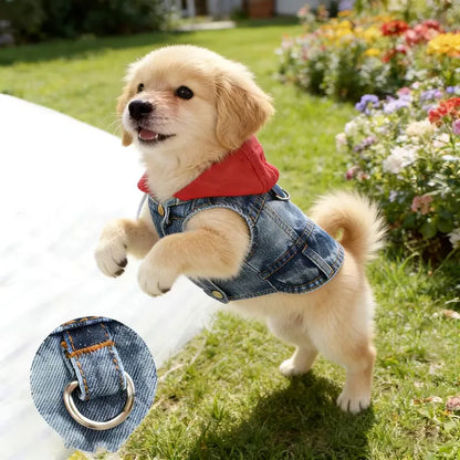 Cool Denim Dog Jacket Vest – Hoodie Style with D-Ring Harness for Small & Medium Dogs & Cats, Spring Walking Coat for Puppies.