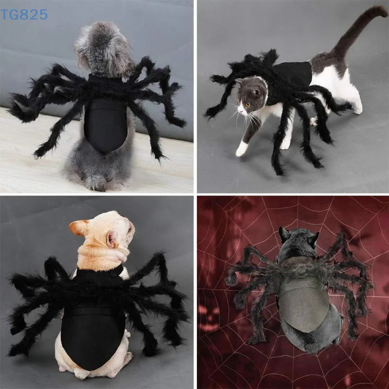 Halloween Spider Pet Costume – Funny Cosplay Dress-Up Outfit for Dogs & Cats.