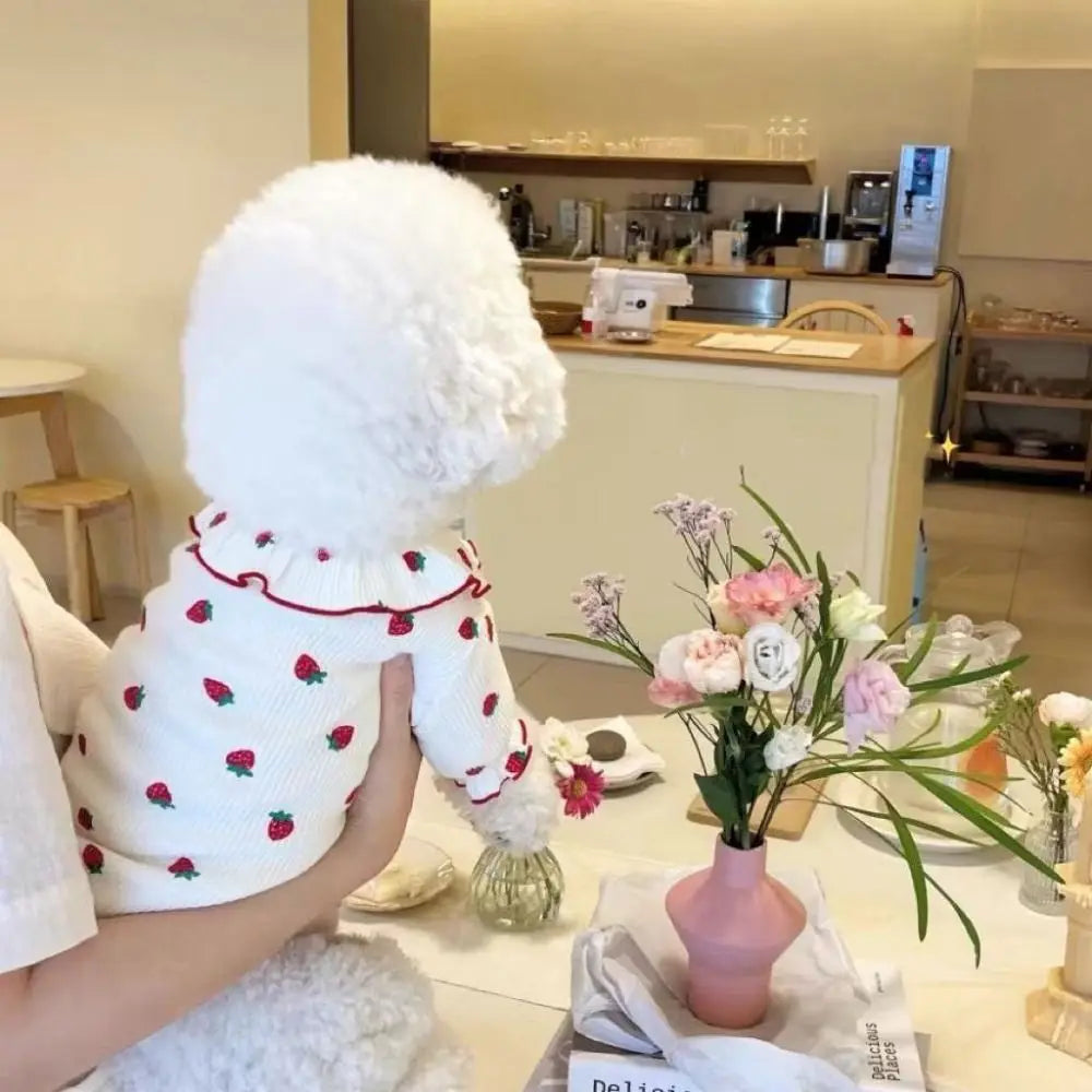 Cute Strawberry Pet Vest – Soft Breathable Dog & Cat Shirt for Puppies, Kittens & Small Pets.