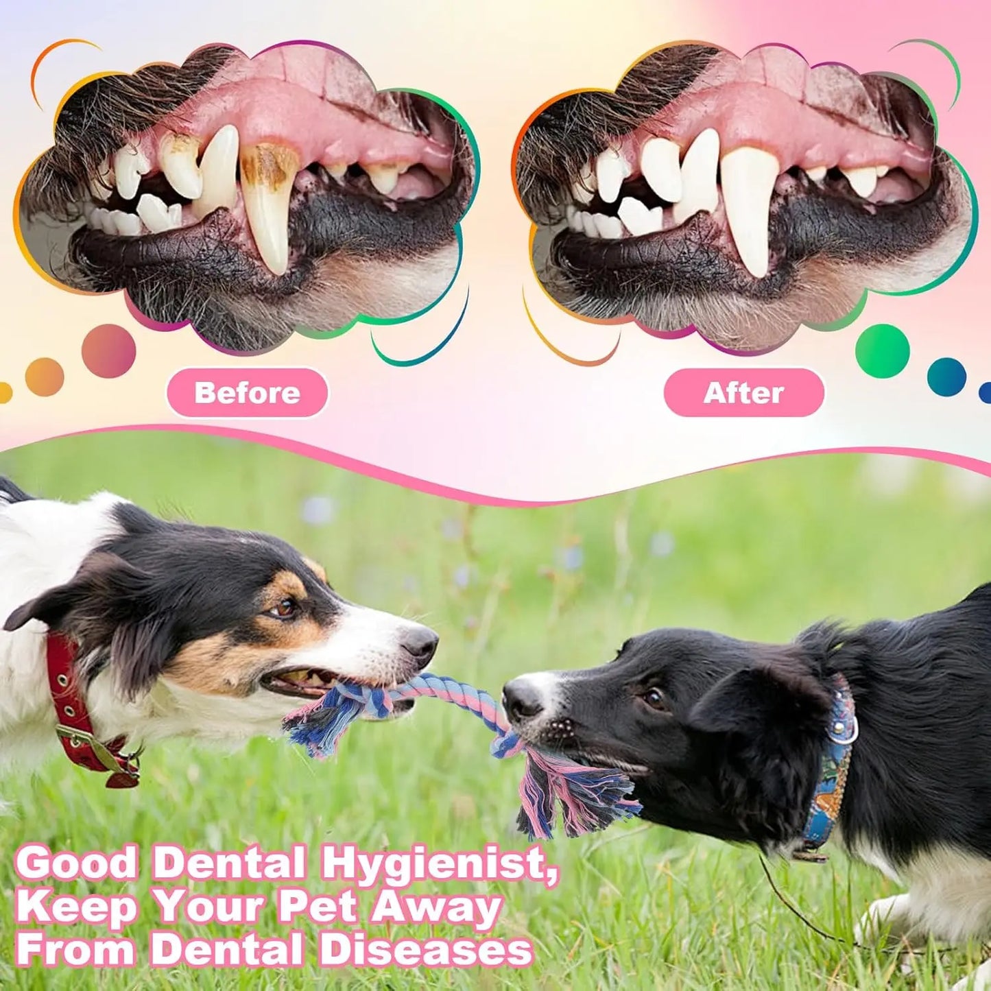 Interactive Tug of War Dog Toy – Braided Cotton Rope for Pulling, Chewing & Fun Bonding Play with Your Pet.