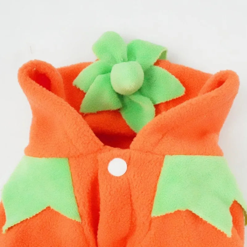 Halloween Pumpkin Dog Costume – Cozy Autumn & Winter Outfit for Dogs.