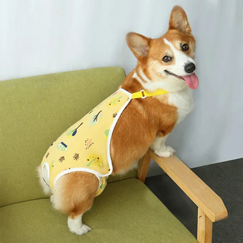 Adjustable Pet Underwear Shorts – Washable Physiological Pants with Shoulder Strap for Female Dogs, Comfortable Safety Diaper Trousers for Pets.