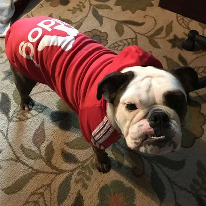 Winter Dog Hoodie – Adidog Sports Sweatshirt, Warm Coat for Small, Medium, Large Dogs & Cats, Comfortable Pet Winter Outfit.