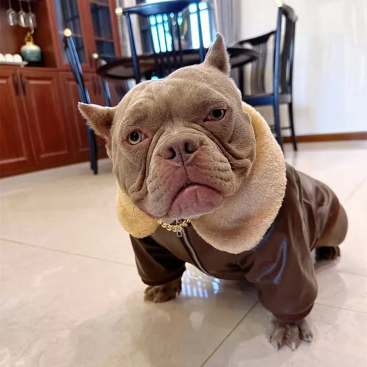 Winter Dog Coat Jacket – Warm Clothing for Pugs, French Bulldogs, Schnauzers, American Bullies & Pit Bulls.