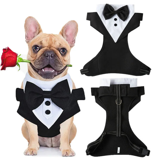 Formal Dog Suit Costume – Black Wedding Tuxedo Jacket with Bow Tie for Small Dogs, Elegant Prince Ceremony Outfit for Special Occasions.