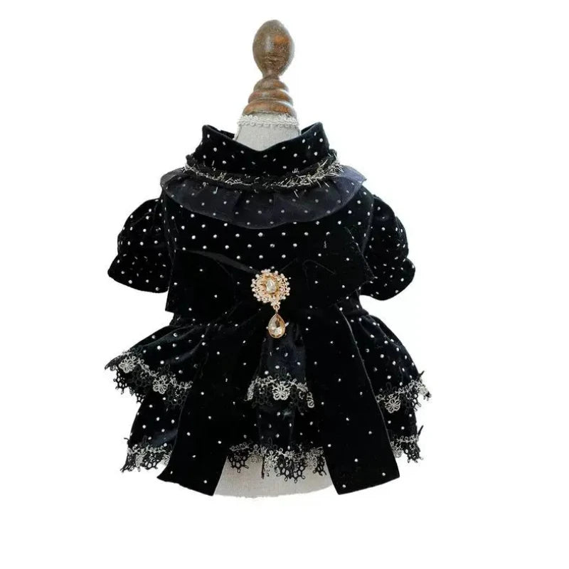 Velvet Black & Gold Pet Dress – Fashionable Girly Outfit for Small Dogs, Cute Luxury Print Clothing for Pets.