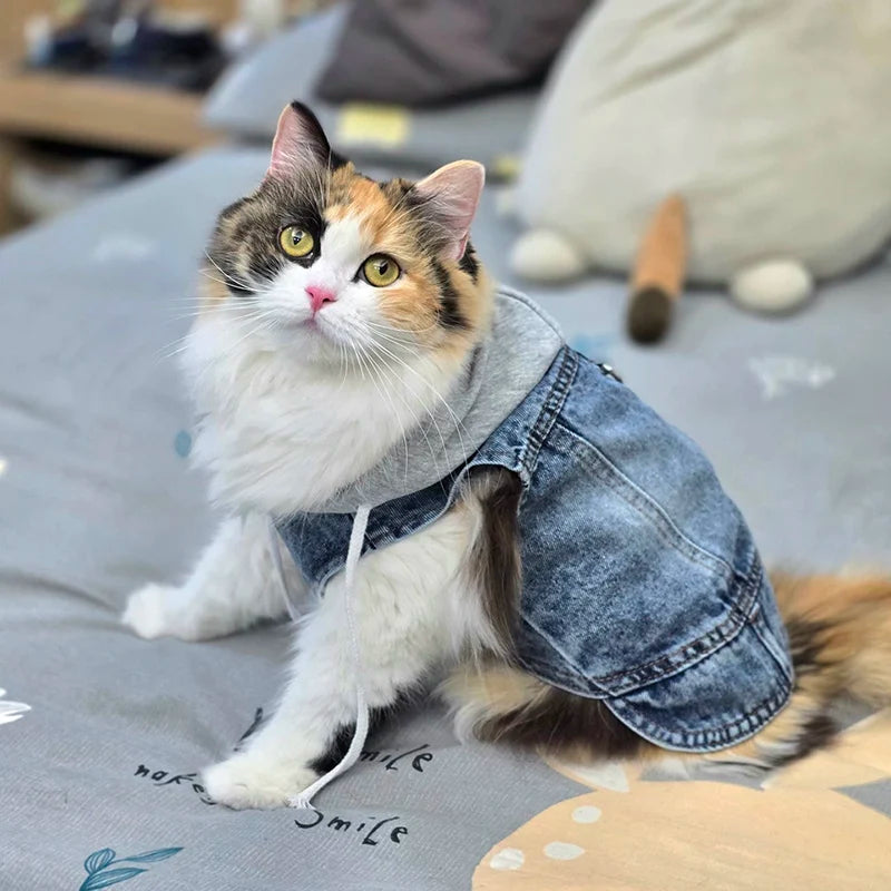 Cool Denim Dog Jacket Vest – Hoodie Style with D-Ring Harness for Small & Medium Dogs & Cats, Spring Walking Coat for Puppies.