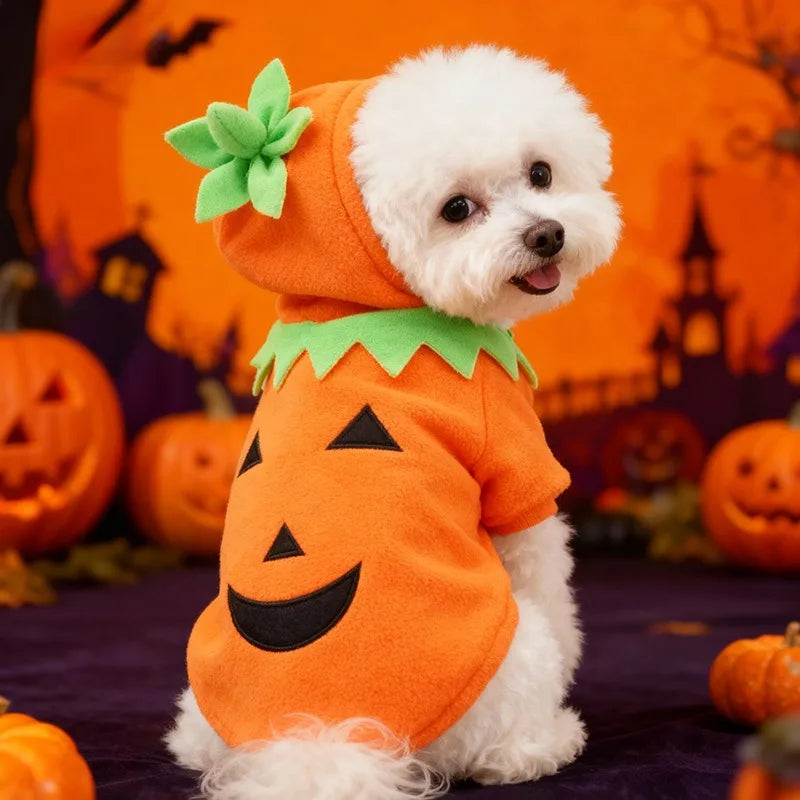 Halloween Pumpkin Dog Costume – Cozy Autumn & Winter Outfit for Dogs.