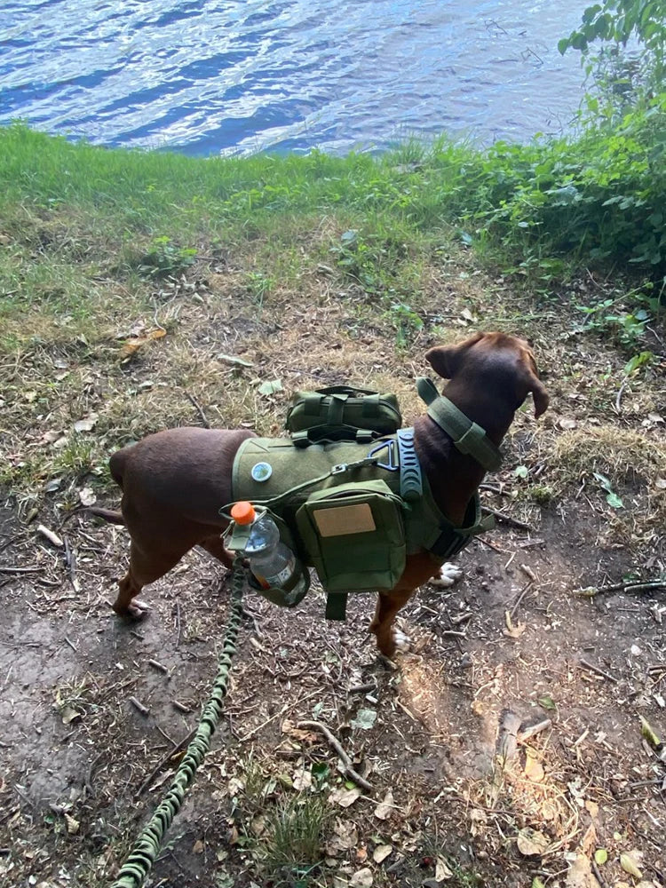 Tactical Dog Harness Set – MOLLE Vest with Collar & Leash, Training & Walking Gear for Medium & Large Dogs like German Shepherds.