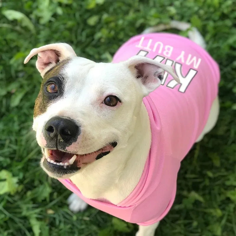 Velvet Warm Dog Hoodie – Soft Sweater Pet Clothing for Small, Medium & Large Dogs, Cozy Winter Apparel.