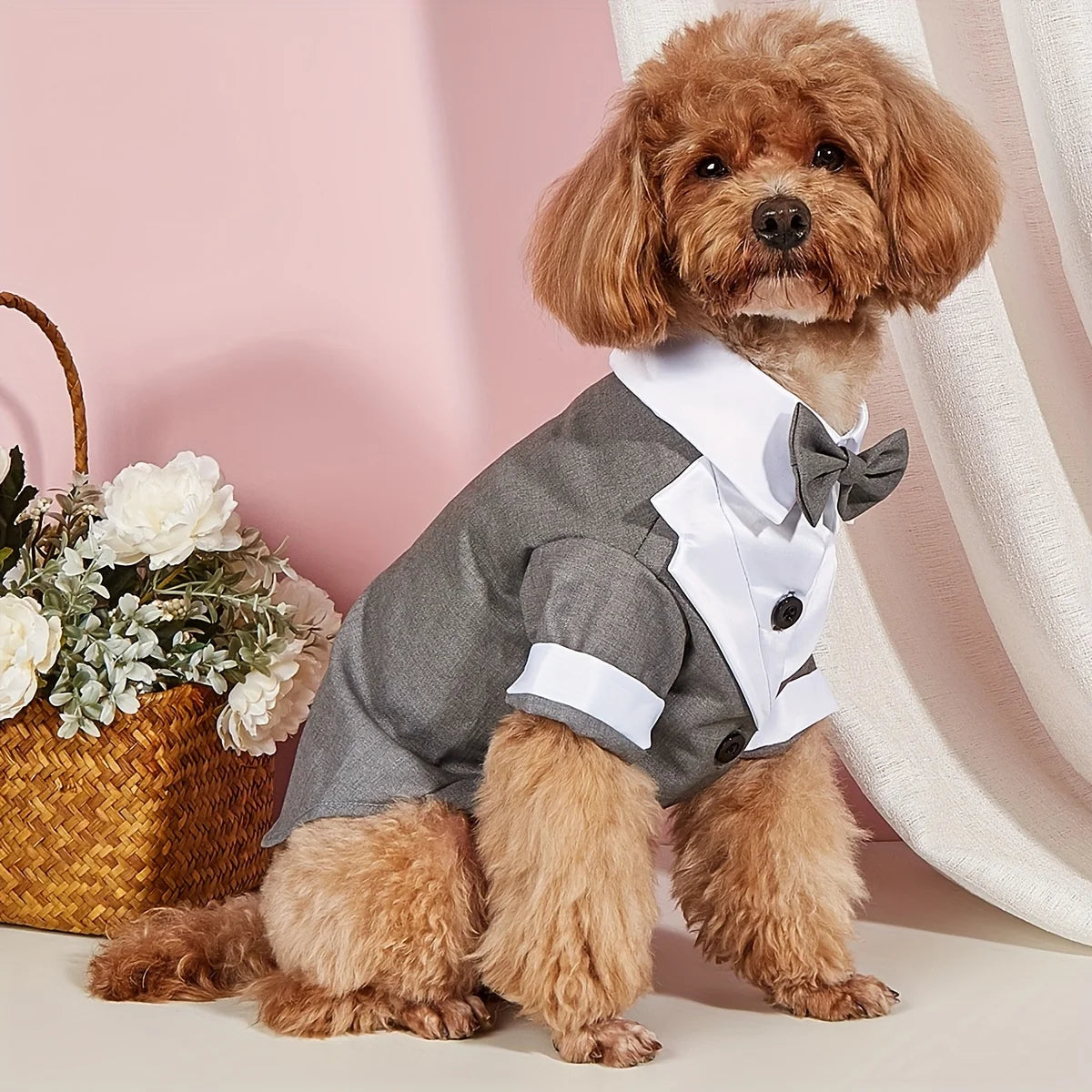 Formal Pet Suit Shirt – Wedding Costume with Bow Tie for Small Dogs & Cats, Elegant Dress-Up Outfit.