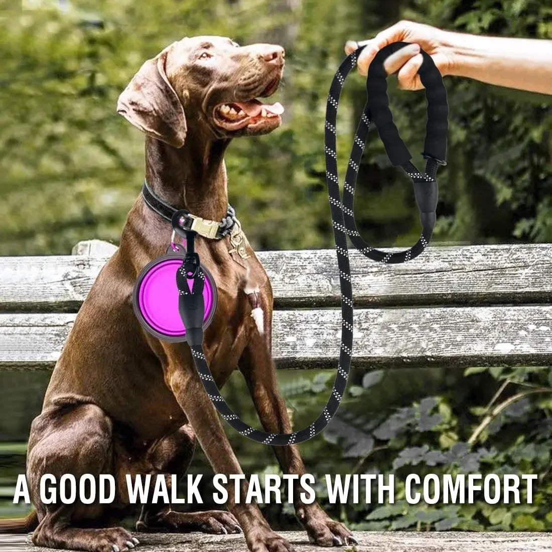Strong Reflective Dog Leash – Durable Pull & Training Lead for Small, Medium & Large Dogs, Including Golden Retrievers.